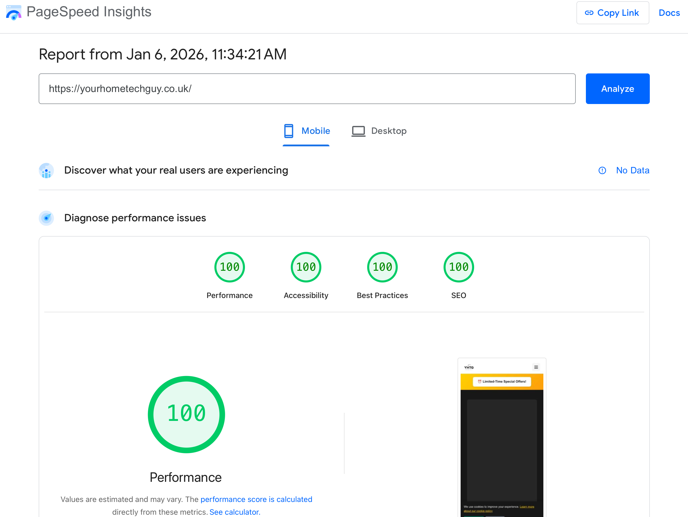 Your Home Tech Guy PageSpeed score showing 100/100 across all metrics
