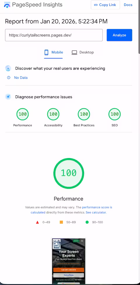 Curly Tail new PageSpeed scores - 100 across all metrics