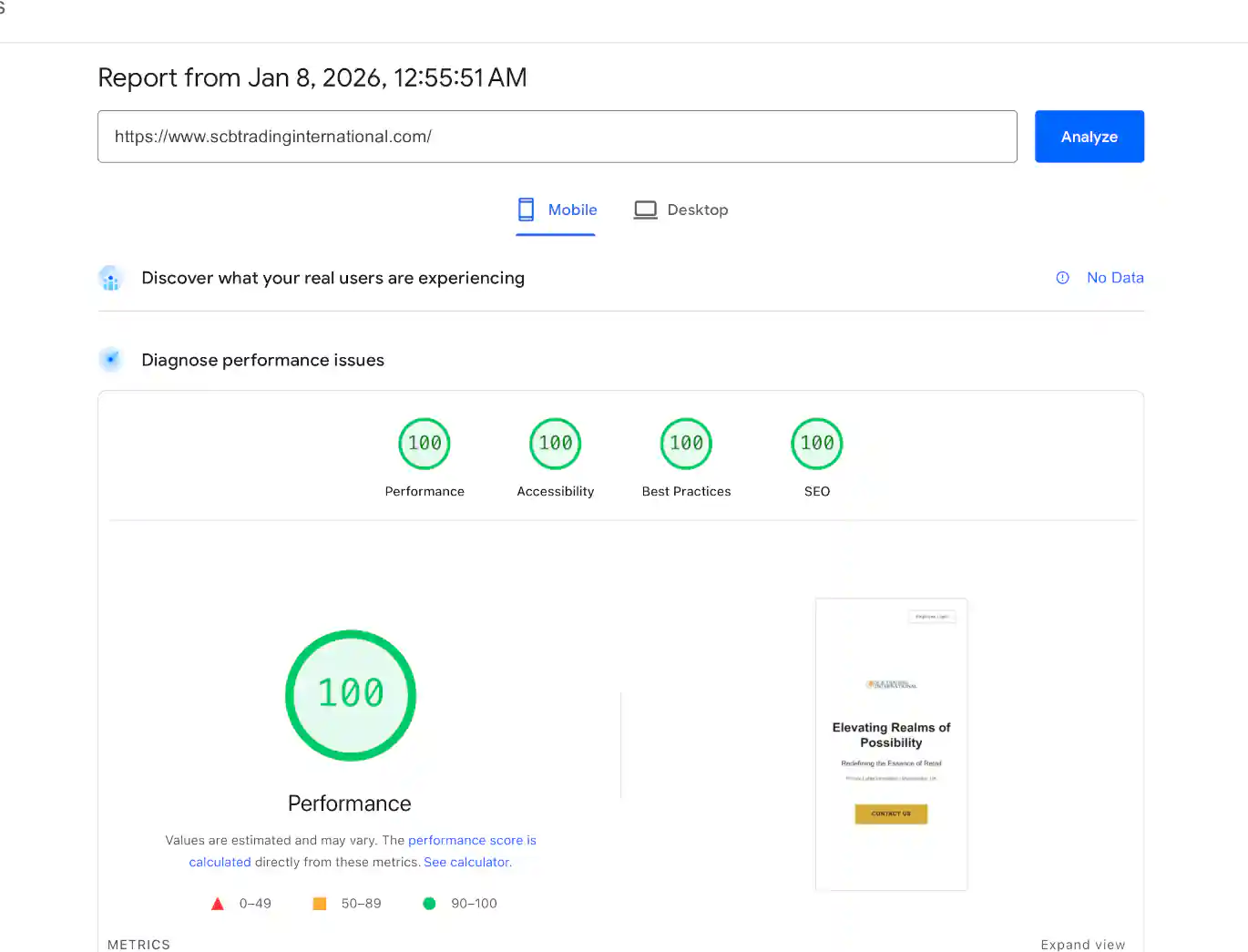 SCB Trading International PageSpeed score showing 100/100 across all metrics